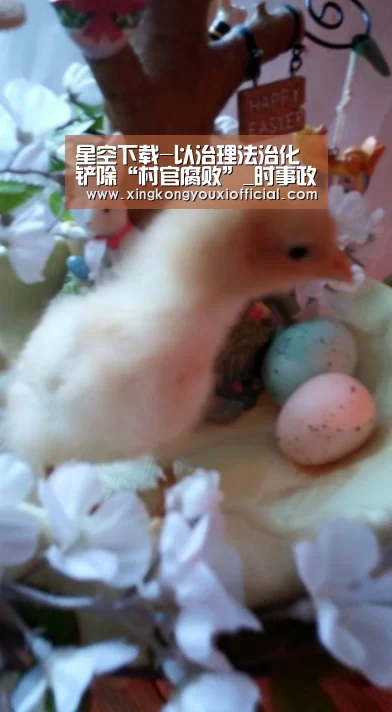星空下载-以治理法治化铲除“村官腐败”_时事政治_中公教育网(图1) 星空下载