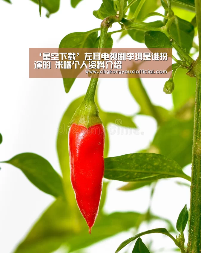 ‘星空下载’左耳电视剧李珥是谁扮演的 米咪个人资料介绍(图1) 星空下载