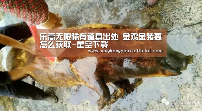乐高无限稀有道具出处 金鸡金猪要怎么获取-星空下载(图2) 星空热点