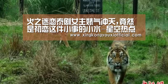 火之迷恋泰剧女主婊气冲天,竟然是初恋这件小事的小水-星空热点(图1) 星空下载