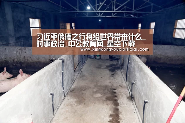 习近平俄德之行将给世界带来什么_时事政治_中公教育网_星空下载(图1) 星空热点