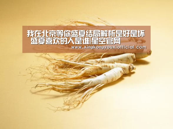我在北京等你盛夏结局解析是好是坏 盛夏喜欢的人是谁|星空官网(图2) 星空游戏